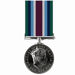 Wider Service Medal - Full Size